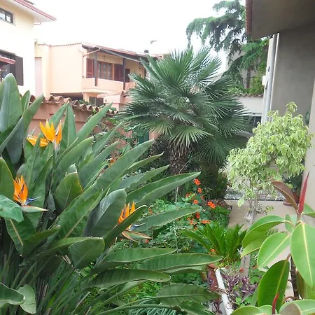 Il Dodo לינה וארוחת בוקר Monastir