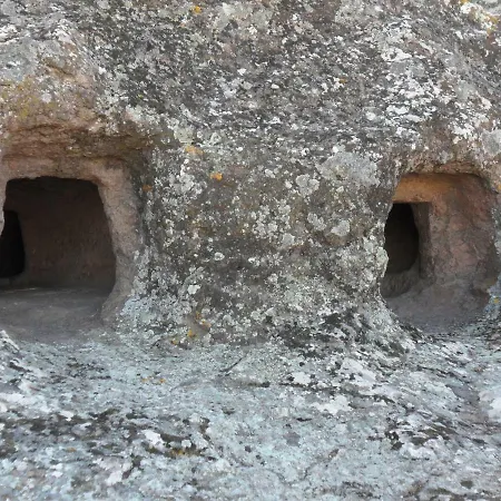 Il Dodo Monastir