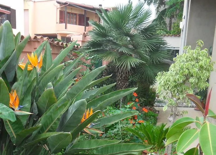 Il Dodo Bed & Breakfast Monastir