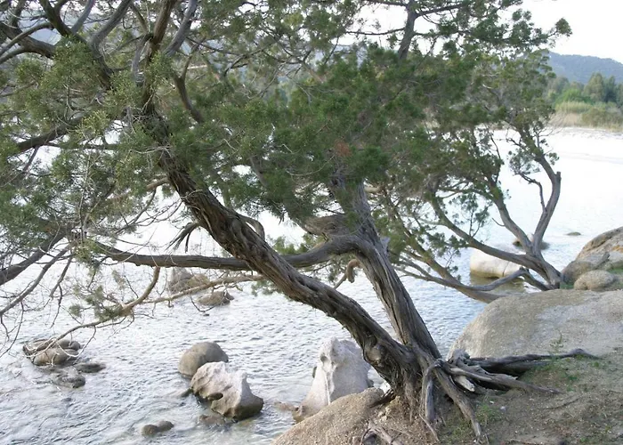 Bed & Breakfast Il Dodo 3*