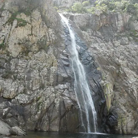 Couette-café Il Dodo