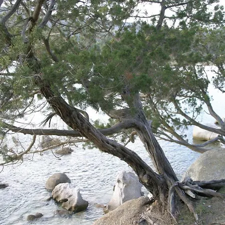 Nocleg ze śniadaniem Il Dodo 3*